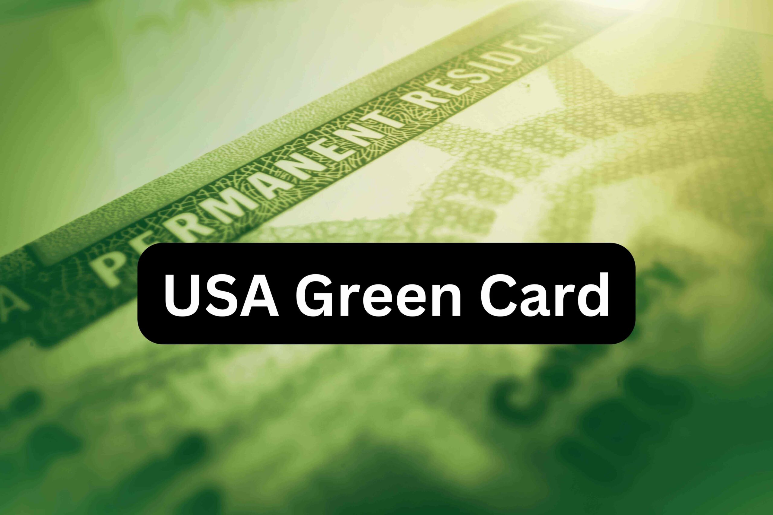 July 2024 Visa Bulletin: Major Advances for Indian USA Green Card Applicants