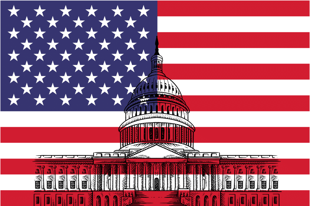 USA's Flag