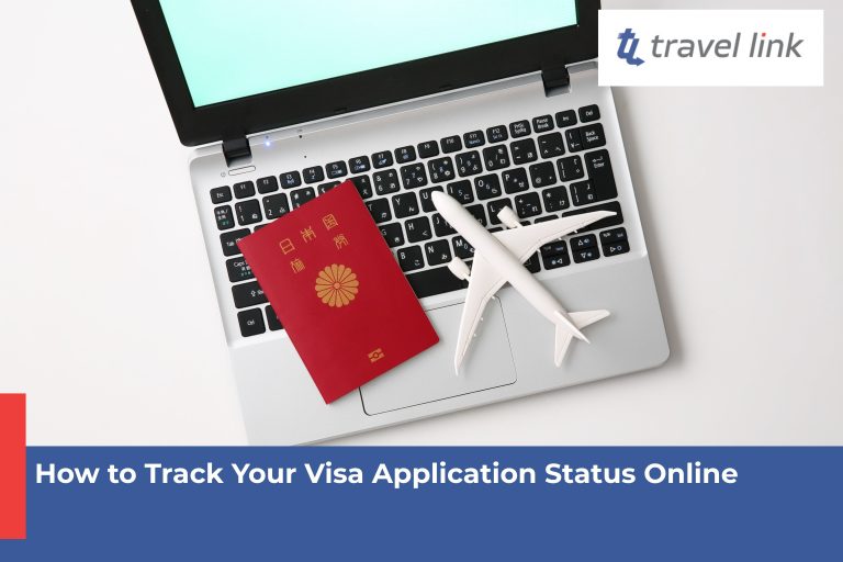 How to Track Your Visa Application Status Online?