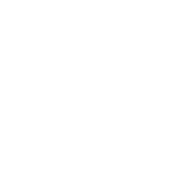 TL Logo